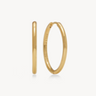 Hoop Earrings - Medium Gold