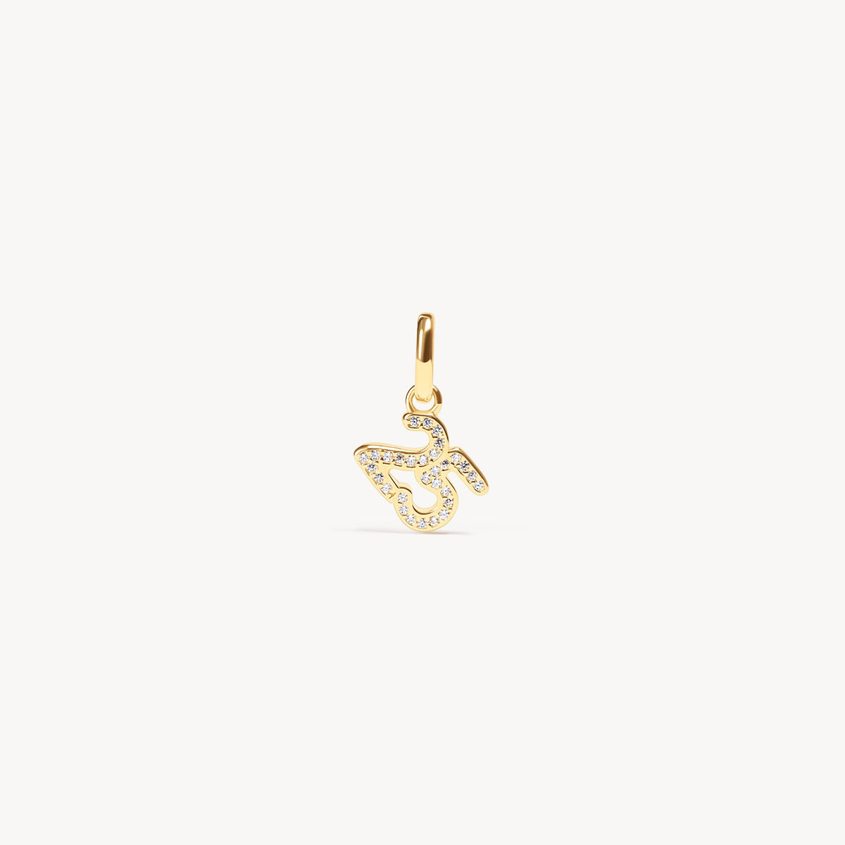2025 Charm