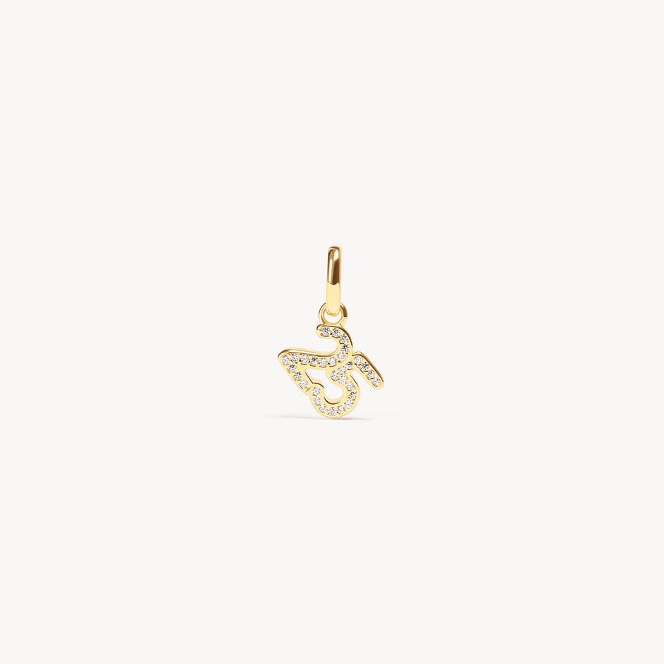 2025 Charm