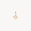 2025 Charm