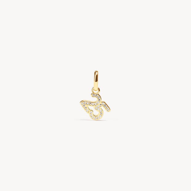 2025 Charm