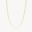 Cardano Chain Necklace Gold