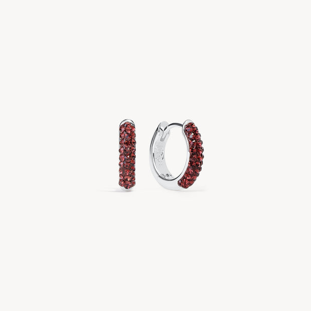 January Birthstone Always On Hoop Earrings