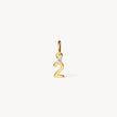 Gold Number Charm 2