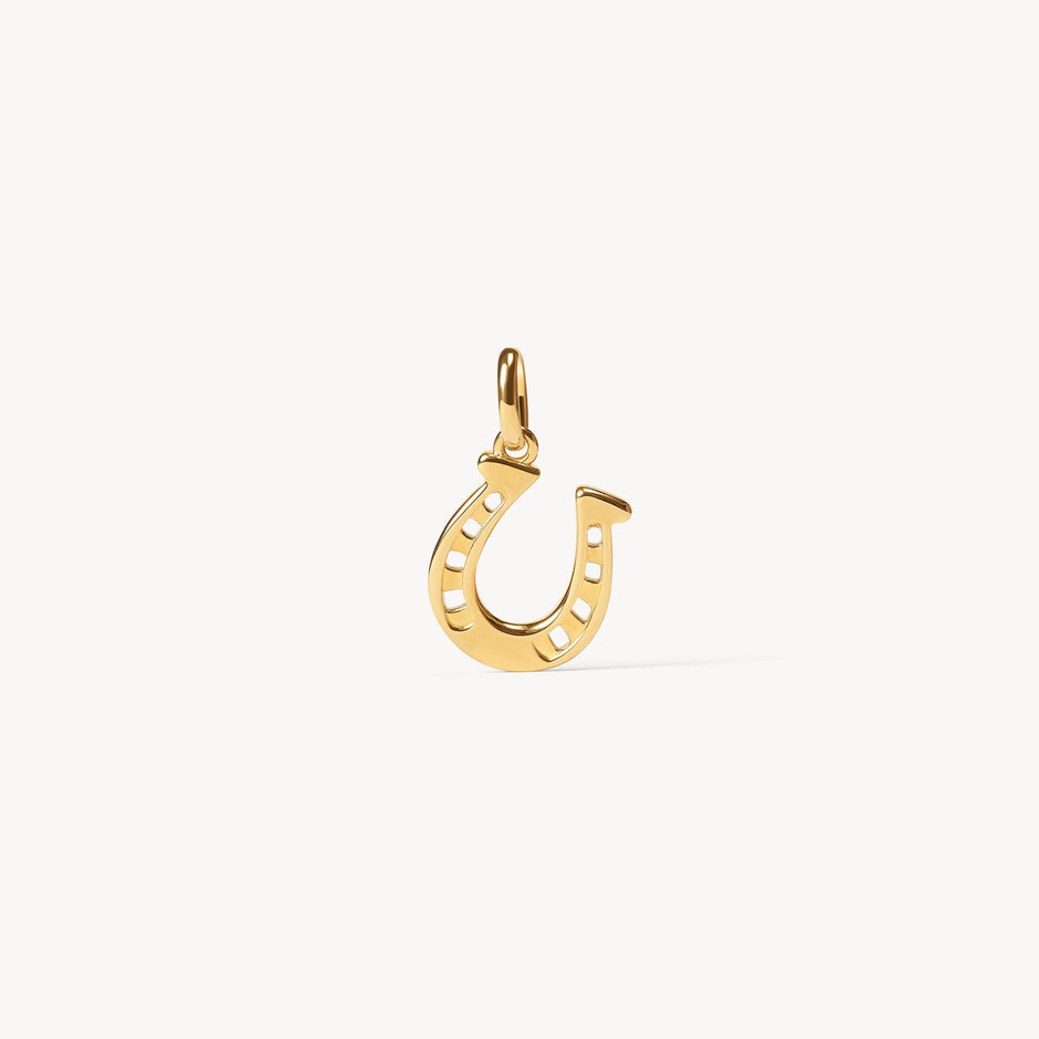 Reversible Horseshoe Charm