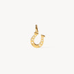 Reversible Horseshoe Charm