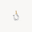 Reversible Horseshoe Charm