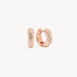 Rose Gold Small Sparkle Hoop Earrings