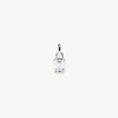 Everyday Charm Silver